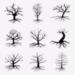 Erothtos: Exploring the Enigma Behind the Word