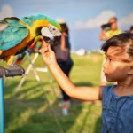 zooskooñ: Why Every Animal Lover Should Visit