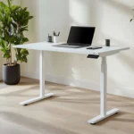 Improve Posture and Banish Back Pain with a Standing Desk 
