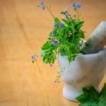 9 Tips When You Shop Organic Medicinal Herbs Online