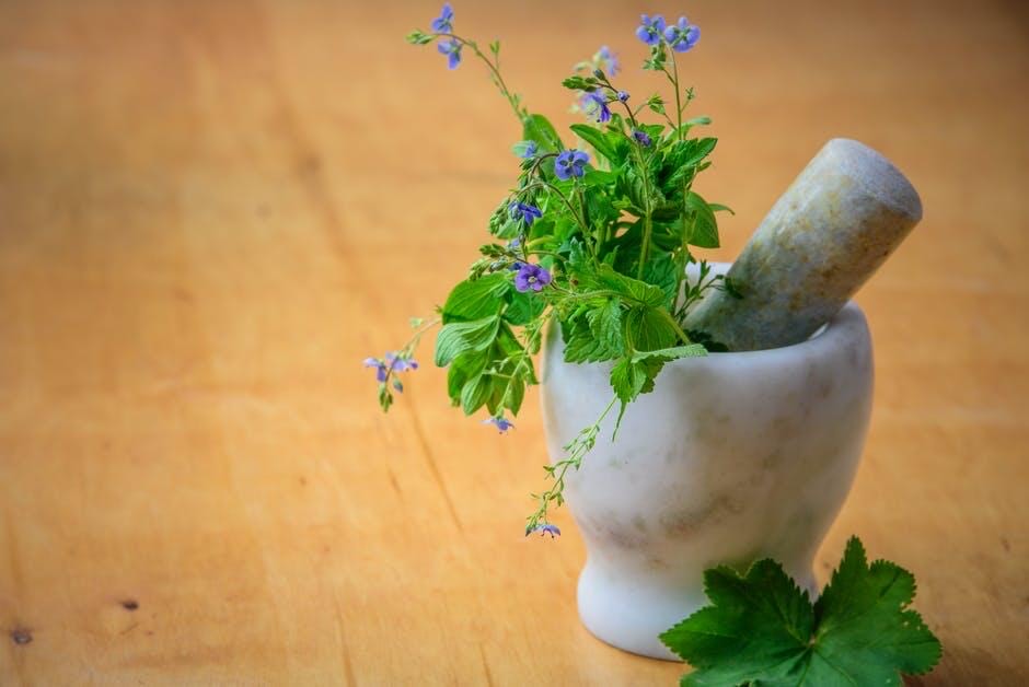 Medicinal Herbs Online
