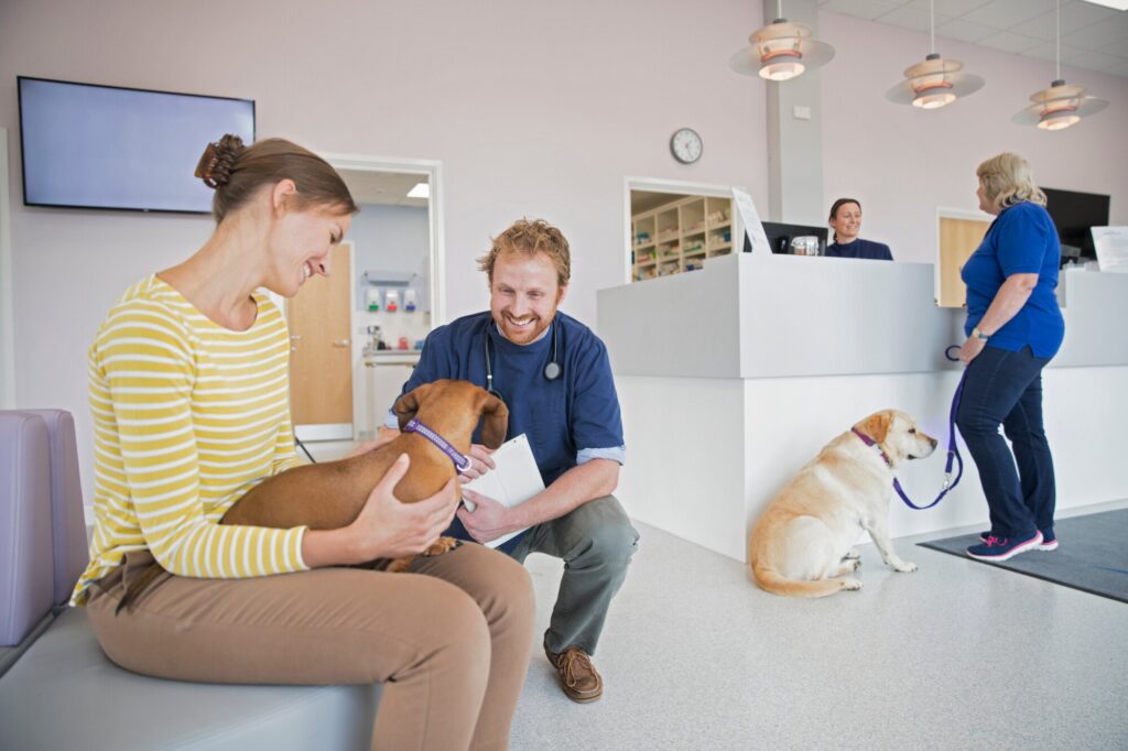4 Benefits of Compounded Veterinary Products