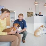 4 Benefits of Compounded Veterinary Products