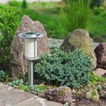 Illuminate Your Yard with Outdoor LED Solar Landscaping Lights