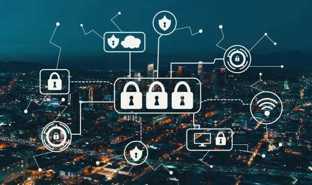 Private Security Companies