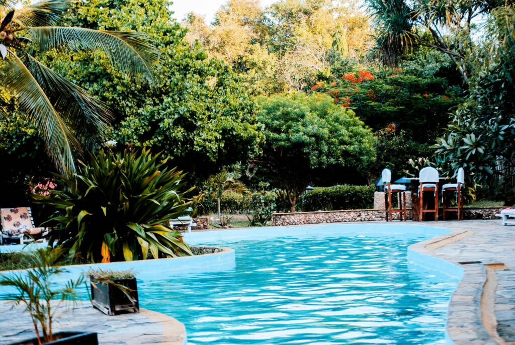 Dream Backyard