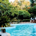 Expert Pool Construction Services for Your Dream Backyard