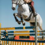 Understanding Horse Training Duration and Progress