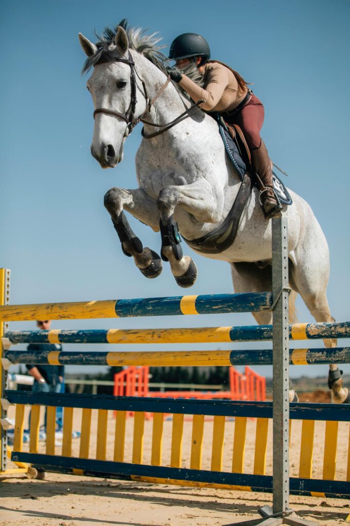 Understanding Horse Training Duration and Progress