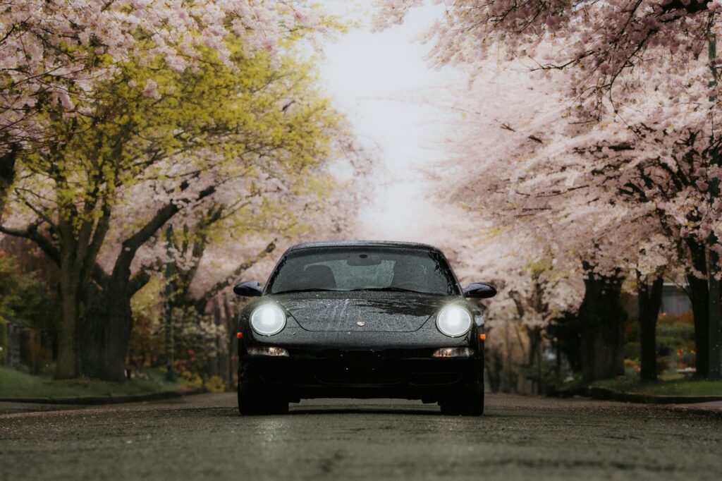 Auto Insurance: