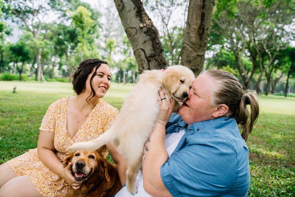 Pet Sitting Services