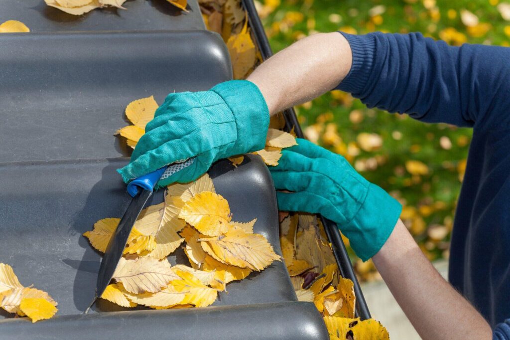Top Roof Cleaning Services to Protect and Beautify Your Home