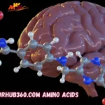 doctorhub360.com amino acids: Unlocking the Secret to Peak Brain and Body Performance