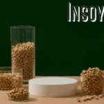 Insoya Uncovered: The Nutrient-Packed Power of Soya Beans in Everyday Wellness