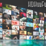 HDHubFu: Everything You Need to Know About This Free Streaming Website