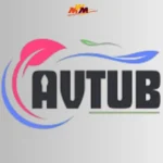 Everything You Need to Know About avtub