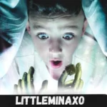 Littleminaxo: Unpacking the Online Aura Behind a Rising Internet Star
