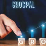 Grospal: The Smart Solution Powering Business Efficiency and Scalable Growth
