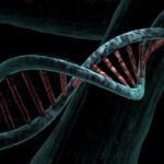 The Intersection of Business Leadership and Genetic Traits
