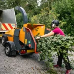 Why Professional Tree Service Matters More Than DIY Solutions