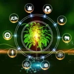 The Role of Micronutrients in Energy Production