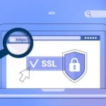 SSL Certs: The Ultimate Guide to Website Security