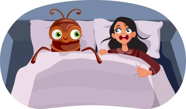 bed bug