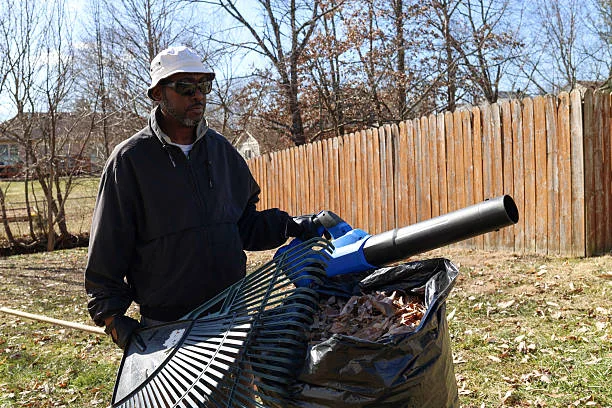 Leaf Cleanup