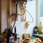 How Clutter Creates the Perfect Haven for Household Pests