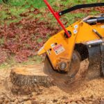 Why Stump Grinding Is the Smart Property Investment You Never Considered