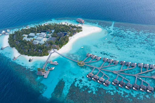 Discover the Ultimate Fiji Dive Resort Experience