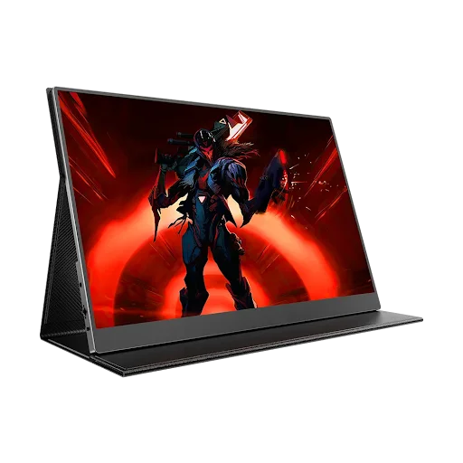 PORTABLE MONITORS