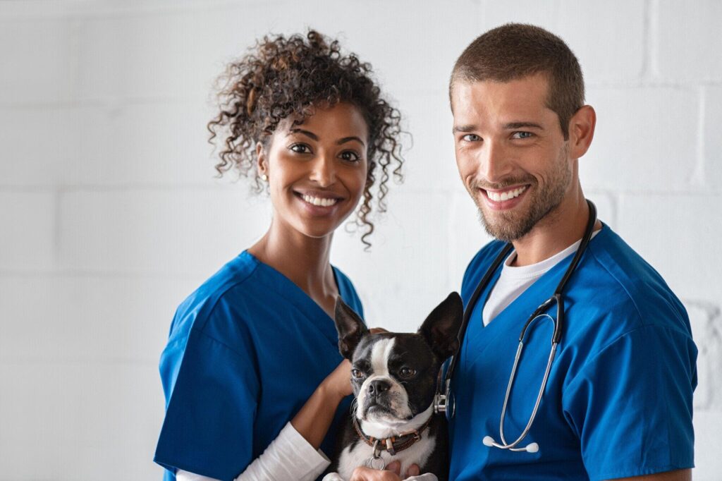 The Rising Trend of Pet First Aid Awareness