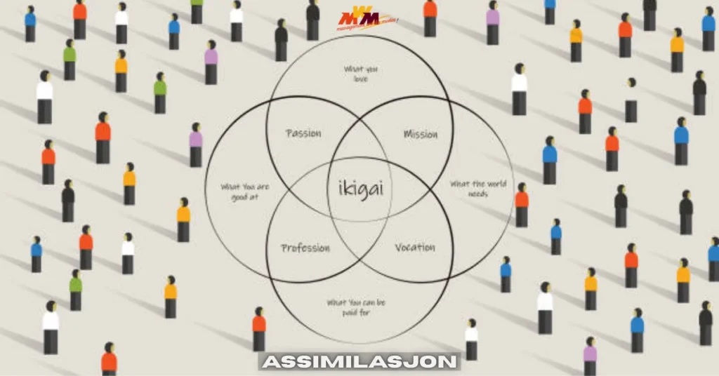 assimilasjon