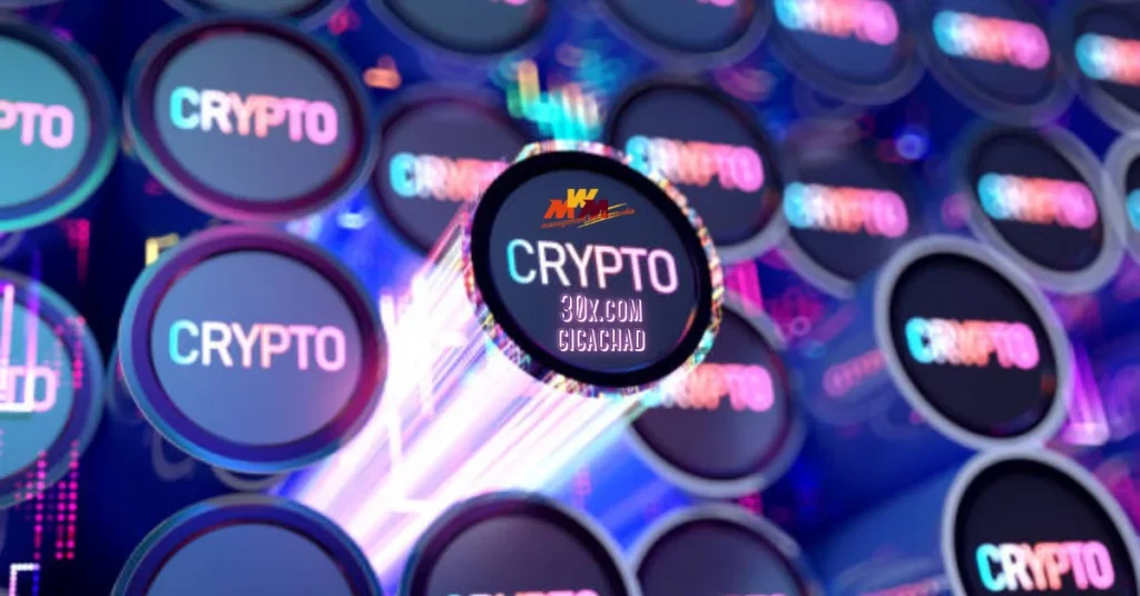 crypto30x.com gigachad