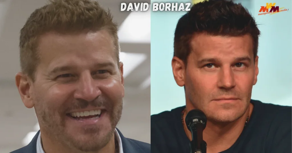 david borhaz