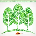 Health Threetrees Com VN: Redefining Holistic Health with Practical Everyday Tips