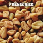 Foenegriek: Nature’s Powerhouse for Hormones, Digestion, and Wellness
