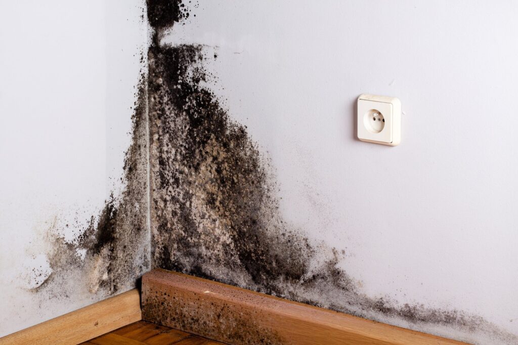 Why Post-Remediation Testing Is Critical for Health and Safety