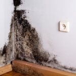 Why Post-Remediation Testing Is Critical for Health and Safety