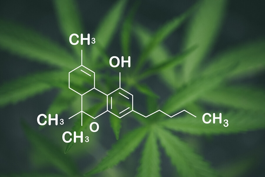 Top Tips for Growing High-Quality Cannabis at Home