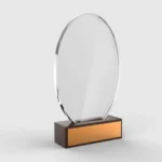 What are the different kinds of Plaques?