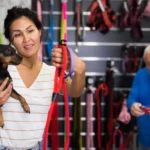 The Complete Guide to Choosing the Best 2 Dog Shock Collar for Training and Safety