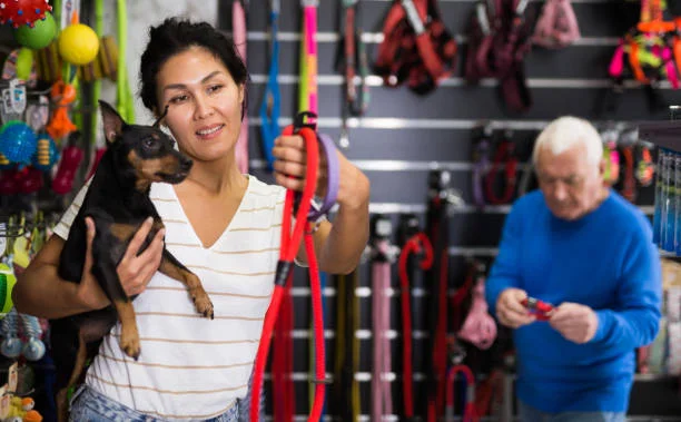 Best 2 Dog Shock Collar