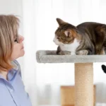 The Pet Sitter’s Secret to a Worry-Free Business