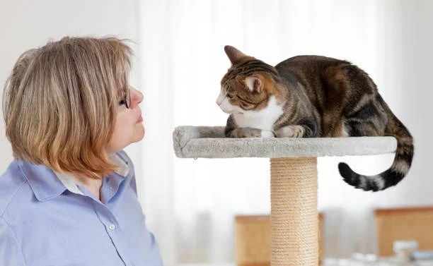 Pet Sitter's Secret
