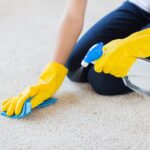 Professional Carpet Cleaning for a Fresher, Cleaner Home