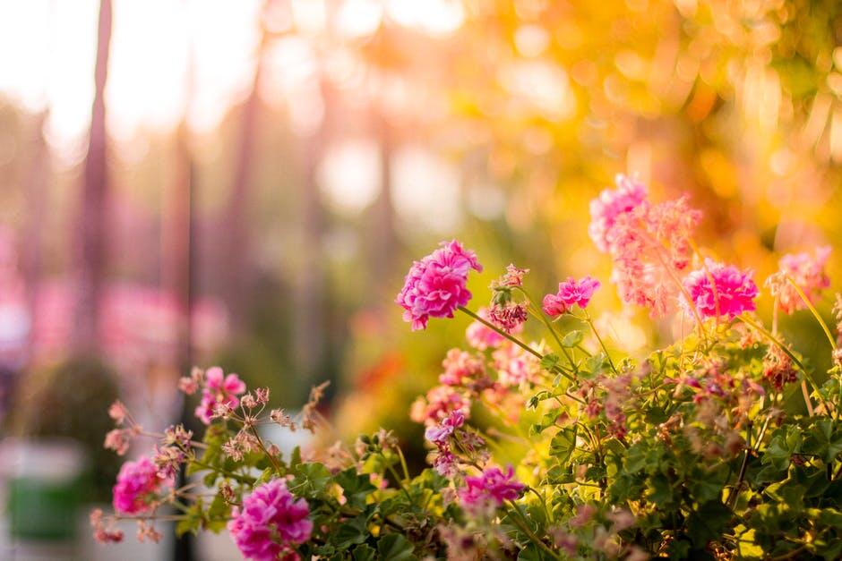 Adding Character and Fun to Your Lawn with Outdoor Décor Pieces