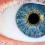 The Growing Role of Biometrics in Law Enforcement