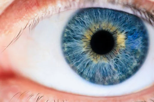 biometrics in law